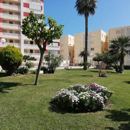 Don Ximo Solo Familia Serviplaya Playa de Gandia